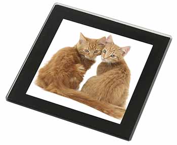 Ginger Kittens Black Rim High Quality Glass Coaster