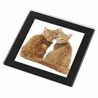 Ginger Kittens Black Rim High Quality Glass Coaster