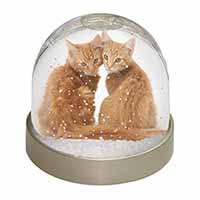 Ginger Kittens Snow Globe Photo Waterball