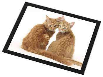 Ginger Kittens Black Rim High Quality Glass Placemat