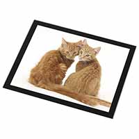 Ginger Kittens Black Rim High Quality Glass Placemat