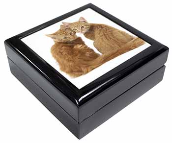 Ginger Kittens Keepsake/Jewellery Box