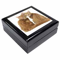 Ginger Kittens Keepsake/Jewellery Box