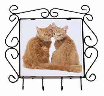 Ginger Kittens Wrought Iron Key Holder Hooks
