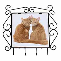 Ginger Kittens Wrought Iron Key Holder Hooks