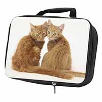 Ginger Kittens Black Insulated School Lunch Box/Picnic Bag