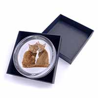 Ginger Kittens Glass Paperweight in Gift Box