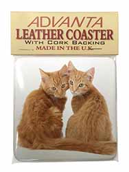 Ginger Kittens Single Leather Photo Coaster