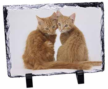 Ginger Kittens, Stunning Photo Slate