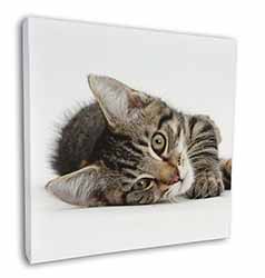 Adorable Tabby Kitten Square Canvas 12"x12" Wall Art Picture Print