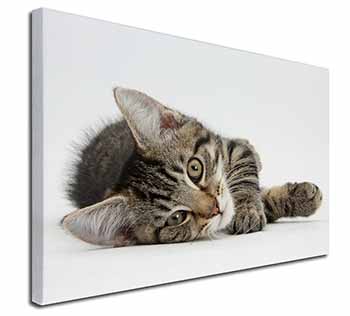 Adorable Tabby Kitten Canvas X-Large 30"x20" Wall Art Print
