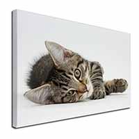 Adorable Tabby Kitten Canvas X-Large 30"x20" Wall Art Print