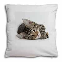 Adorable Tabby Kitten Soft White Velvet Feel Scatter Cushion