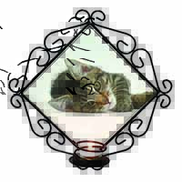 Adorable Tabby Kitten Wrought Iron Wall Art Candle Holder