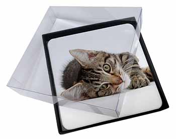 4x Adorable Tabby Kitten Picture Table Coasters Set in Gift Box