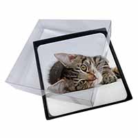 4x Adorable Tabby Kitten Picture Table Coasters Set in Gift Box