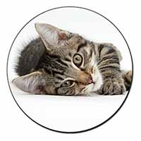 Adorable Tabby Kitten Fridge Magnet Printed Full Colour