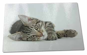 Large Glass Cutting Chopping Board Adorable Tabby Kitten