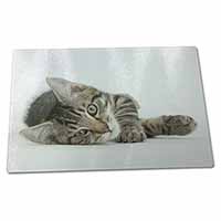 Large Glass Cutting Chopping Board Adorable Tabby Kitten
