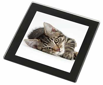 Adorable Tabby Kitten Black Rim High Quality Glass Coaster