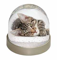 Adorable Tabby Kitten Snow Globe Photo Waterball