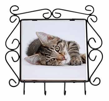 Adorable Tabby Kitten Wrought Iron Key Holder Hooks