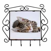 Adorable Tabby Kitten Wrought Iron Key Holder Hooks