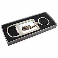 Adorable Tabby Kitten Chrome Metal Bottle Opener Keyring in Box