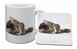 Adorable Tabby Kitten Mug and Coaster Set