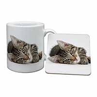 Adorable Tabby Kitten Mug and Coaster Set