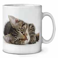 Adorable Tabby Kitten Ceramic 10oz Coffee Mug/Tea Cup