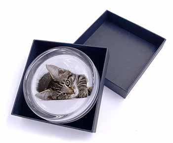Adorable Tabby Kitten Glass Paperweight in Gift Box