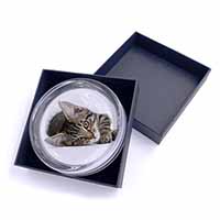 Adorable Tabby Kitten Glass Paperweight in Gift Box