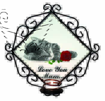 Kitten (B+W) Rose 