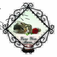 Kitten+Rose 