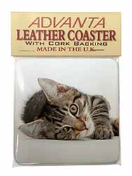 Adorable Tabby Kitten Single Leather Photo Coaster