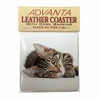 Adorable Tabby Kitten Single Leather Photo Coaster