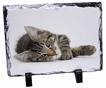 Adorable Tabby Kitten, Stunning Photo Slate