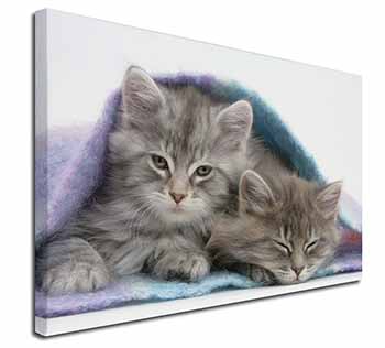Kittens Under Blanket Canvas X-Large 30"x20" Wall Art Print