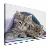 Kittens Under Blanket Canvas X-Large 30"x20" Wall Art Print