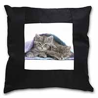 Kittens Under Blanket Black Satin Feel Scatter Cushion