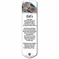 Kittens Under Blanket Bookmark, Book mark, Printed full colour