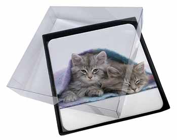 4x Kittens Under Blanket Picture Table Coasters Set in Gift Box