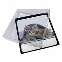 4x Kittens Under Blanket Picture Table Coasters Set in Gift Box