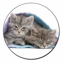 Kittens Under Blanket Fridge Magnet Printed Full Colour