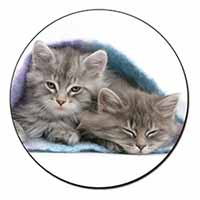 Kittens Under Blanket Fridge Magnet Printed Full Colour