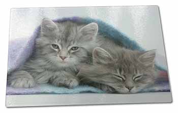 Large Glass Cutting Chopping Board Kittens Under Blanket