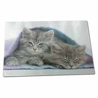 Large Glass Cutting Chopping Board Kittens Under Blanket