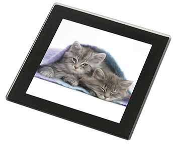 Kittens Under Blanket Black Rim High Quality Glass Coaster