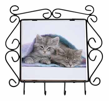 Kittens Under Blanket Wrought Iron Key Holder Hooks